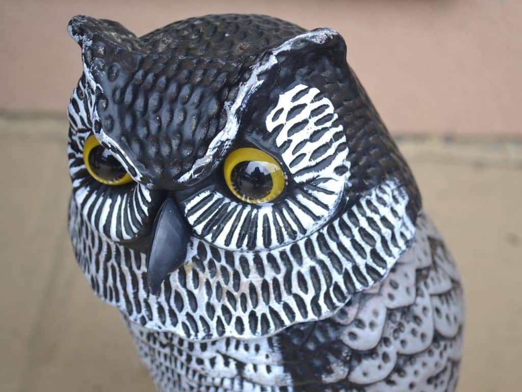 owl, fake, statue, plastic, decoy, artificial, decoration, bird, wise, wisdom, painted, nature, black, face, blue painting, blue paint, fake, fake, fake, fake, fake